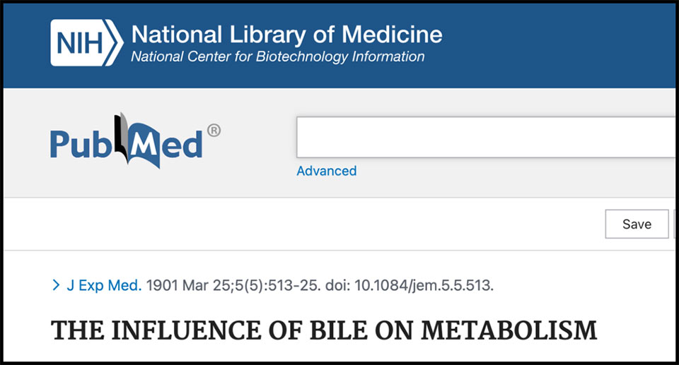 The Influence of Bile on Metabolism